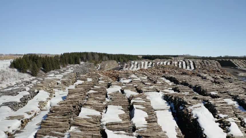 Snow covers the stacks of logs