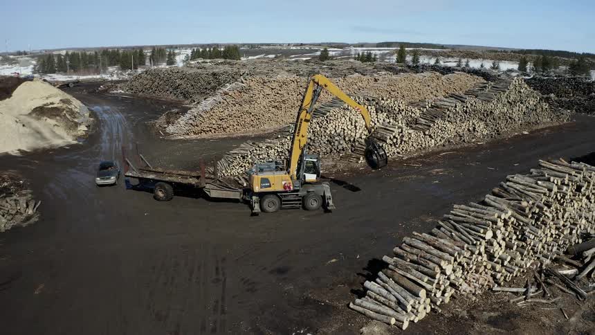 Large crane drives in between two massive log piles