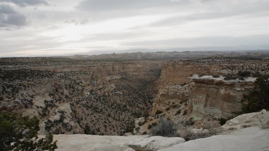 Large canyon dotted with bushes with clouds overhead
