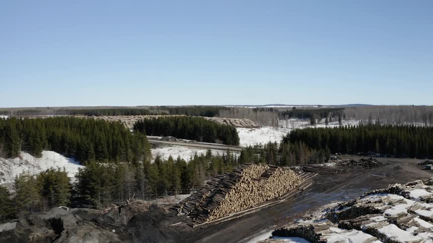 Timber is stacked in piles and dusted with snow in a lumber yard