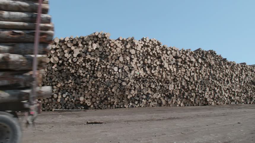 Tractor carrying logs in lumber yard