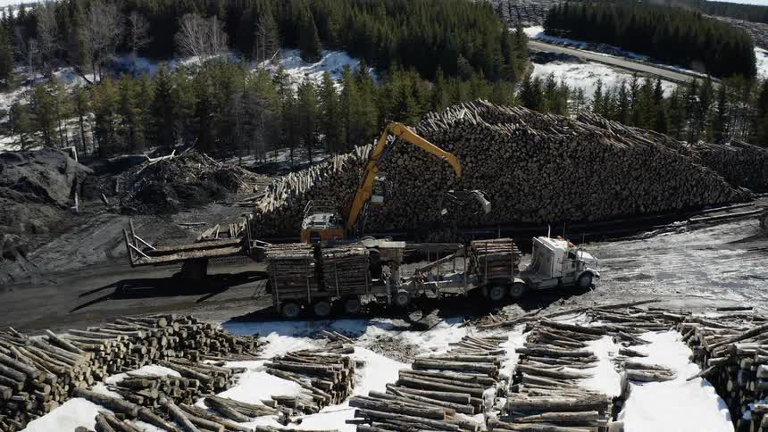 Crane picks logs up from a semi and puts them in a large pile