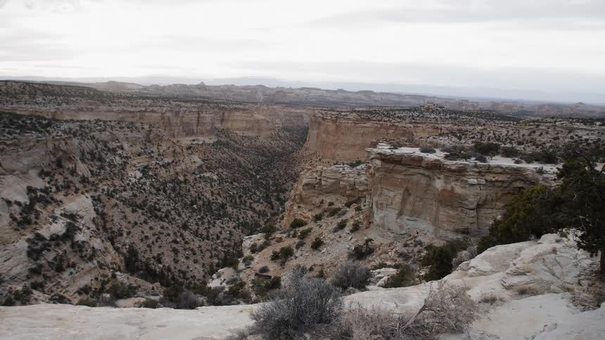 Large canyon dotted with bushes