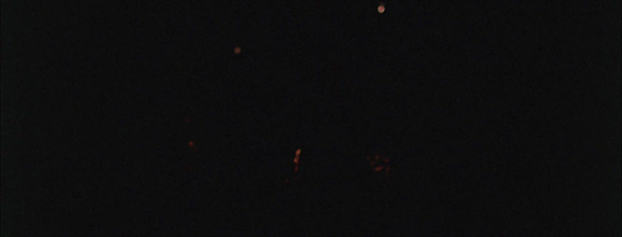 Fireworks explode in the dark sky