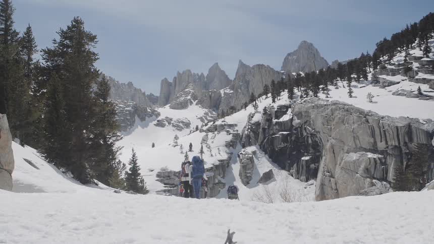 Snow covered rocky mountains and trees