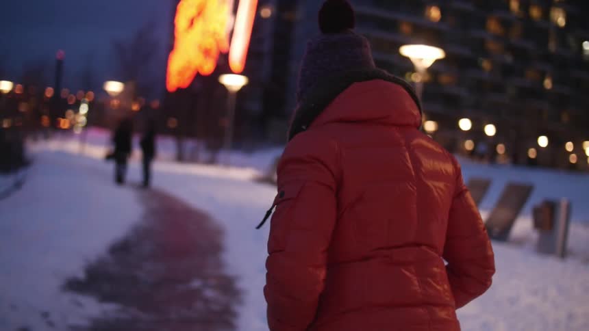 Winter In New York City