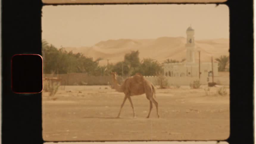A camel is wandering in a desert near a minaret in daylight