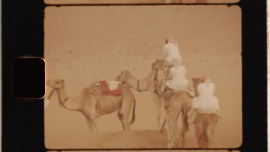 Men on camels