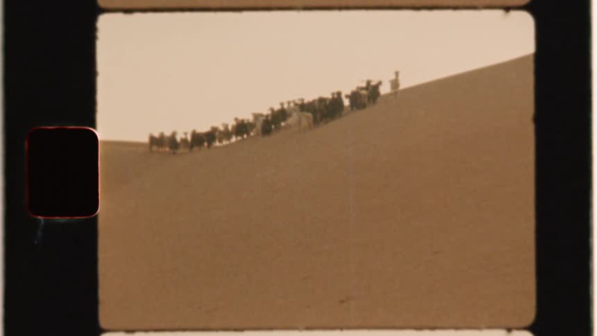 Goats stand on a sandy hill in a desert