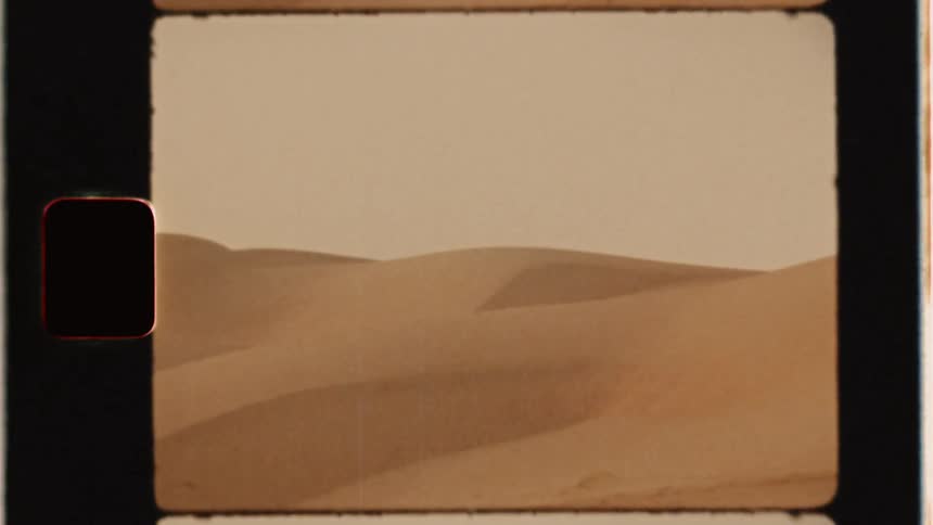 Sand dunes cover the desert grounds