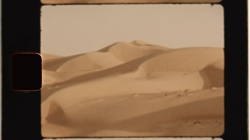 Sand dunes cover the desert grounds