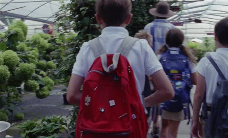 Children are lead through a greenhouse