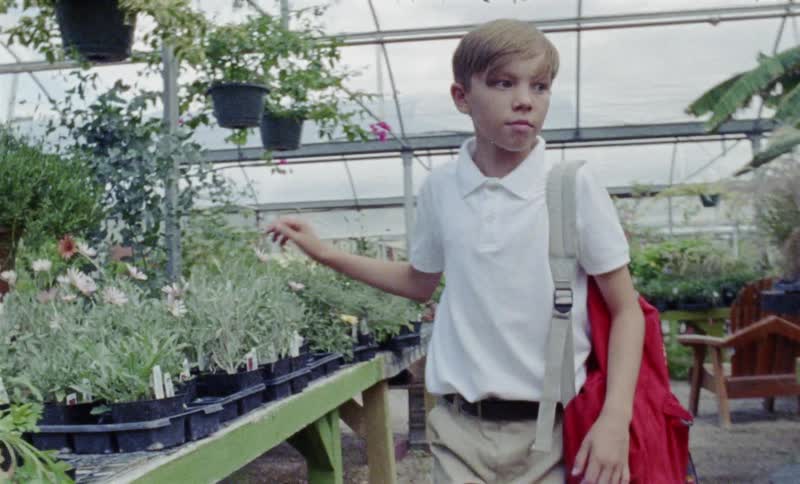 A young boy walks through a greenhouse looking at plants