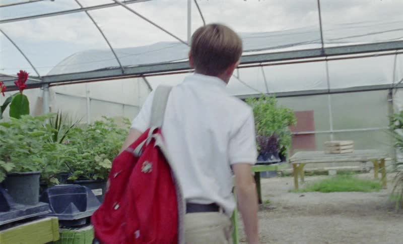 A boy is touching plants as he is hurrying through a greenhouse in daylight