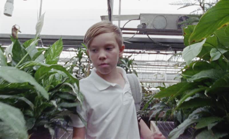 A child walks through a greenhouse