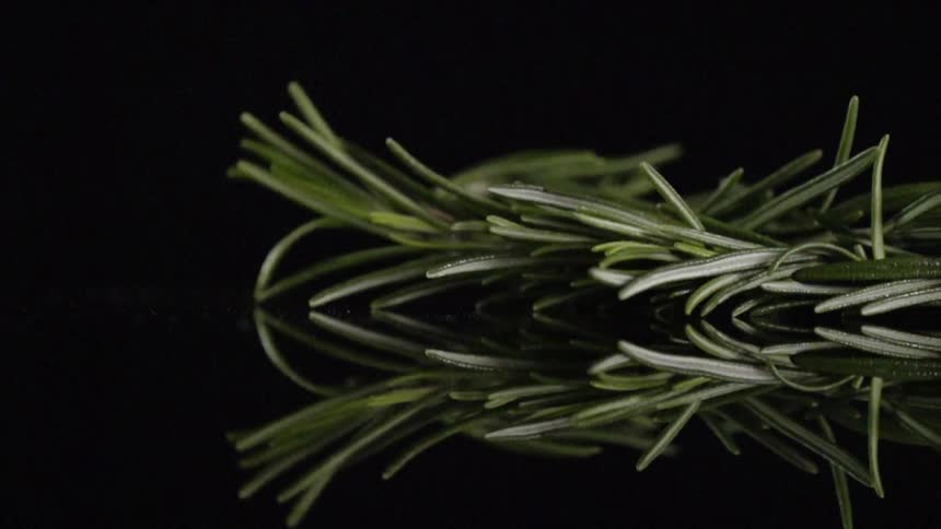 Evergreen needles fall onto a black surface
