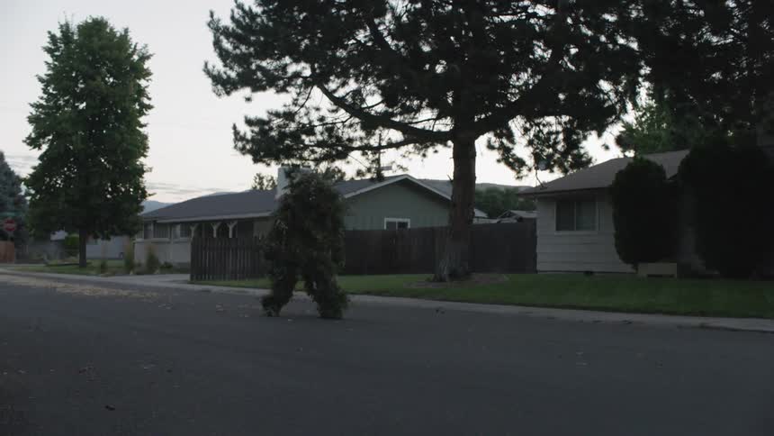 A person wearing leaves as camouflage walks down the neighborhood street