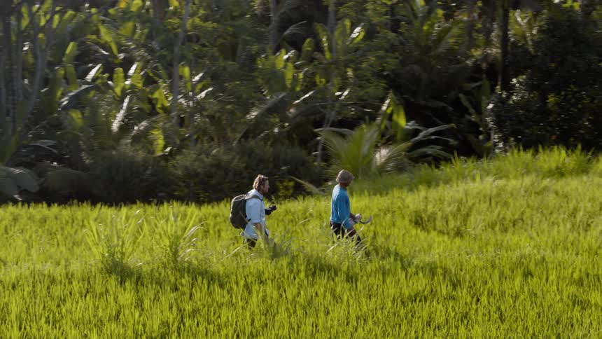 A photographer and a farmer walk through a rice field
