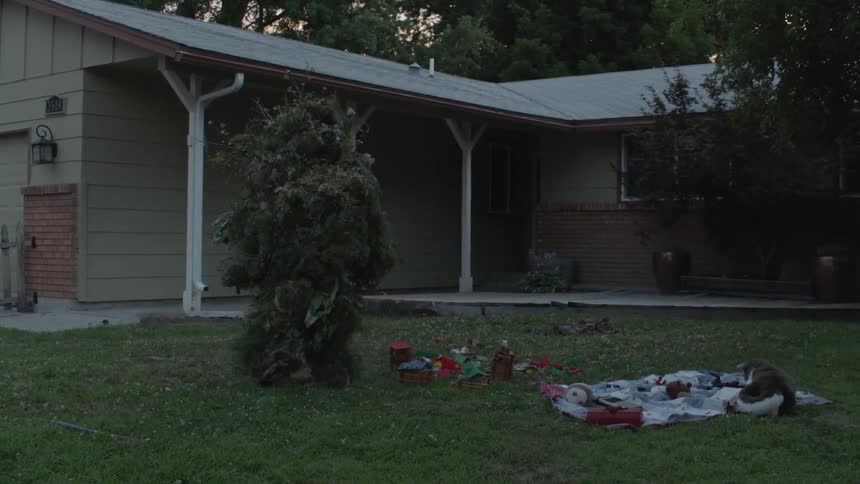 A person camouflaged in plants is crossing a home's yard in the morning