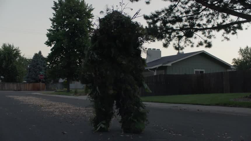 A person camouflaged in plants is walking in a suburban neighborhood in the morning
