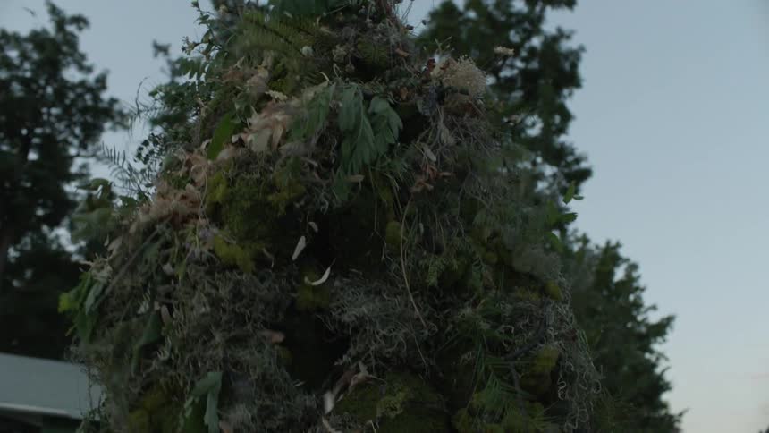 A plant creature sheds while walking outside