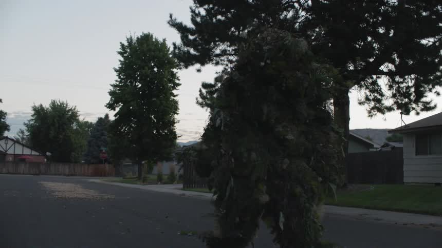 A person camouflaged in plants is walking in a suburban neighborhood in the morning