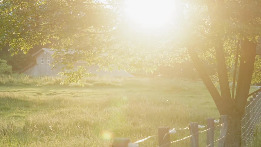 The sun sets over a rural building