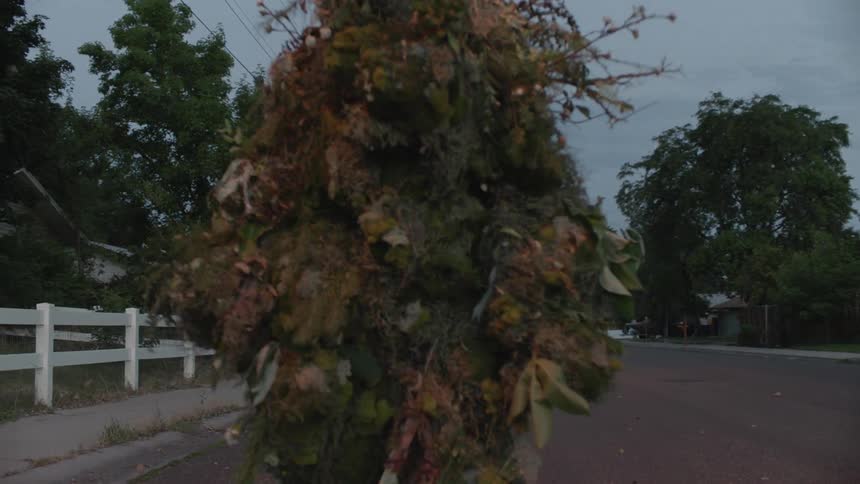 A plant creature walks on a neighborhood street