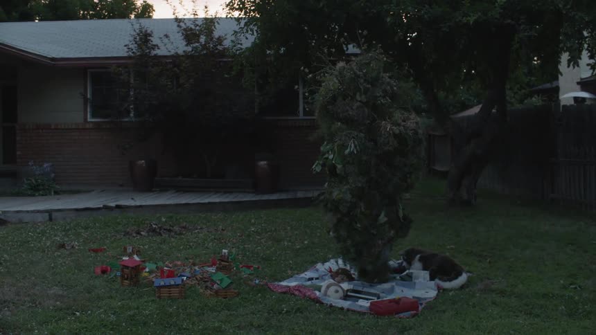 Person dressed as tree walks across yard