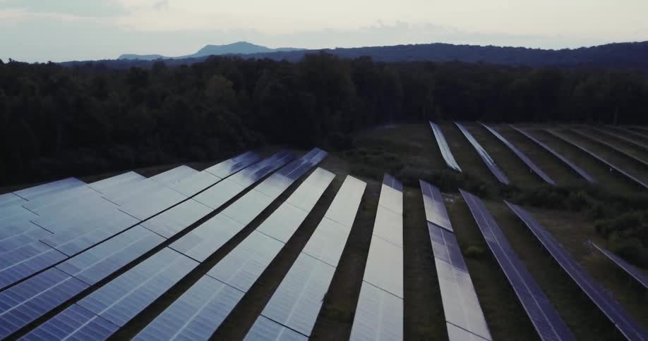 The field is covered with many solar panels