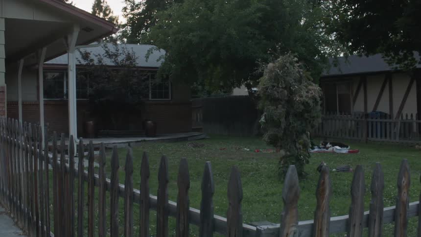 A person camouflaged in plants is crossing a home's yard in the morning
