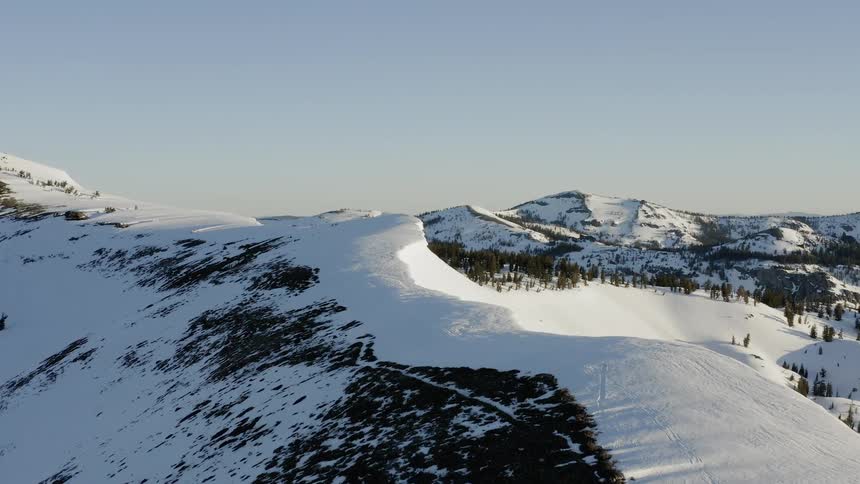 The mountain is covered with trees and heavy snow