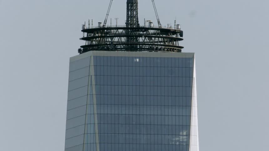 Birds fly past the tall building