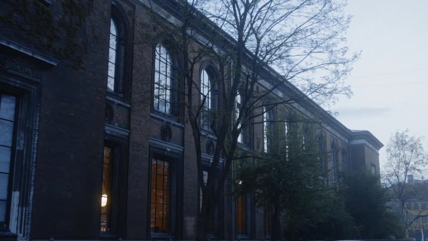 Trees stand next to a city building