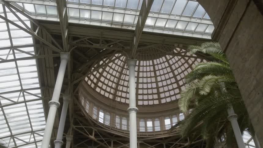 Trees sit in a building with many windows