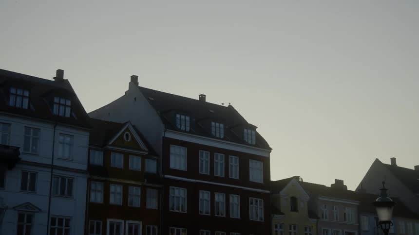 A bird flies and lands on top of a building