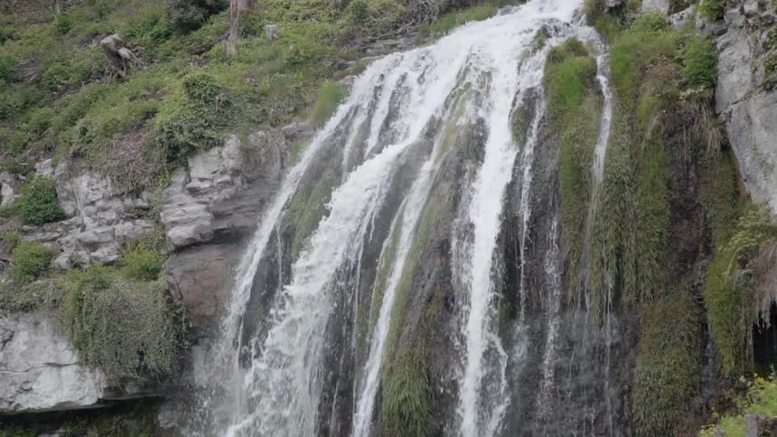 The wide waterfall is covered with green