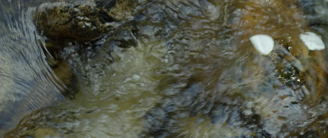 The stream flows over the rocks