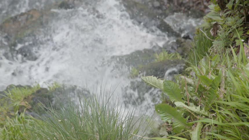 Water rushes down over rocks and grass