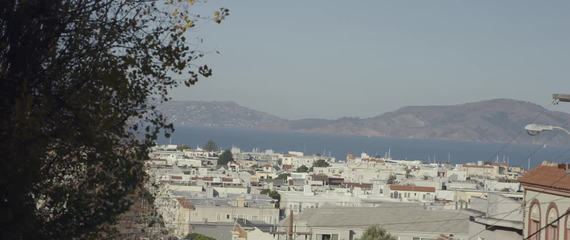 A dense town sits by the water