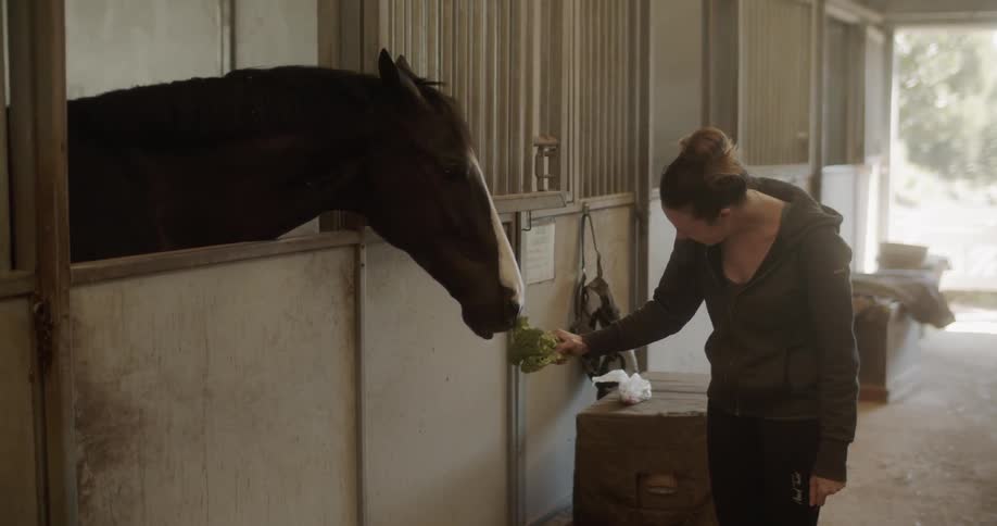 A woman is feeding a horse in the stable