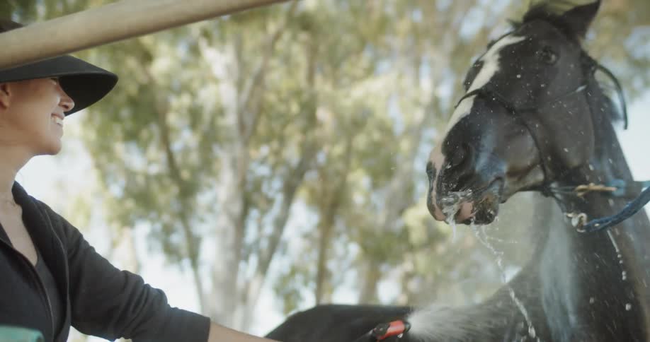 Woman smiles as she sprays a horse with a hose