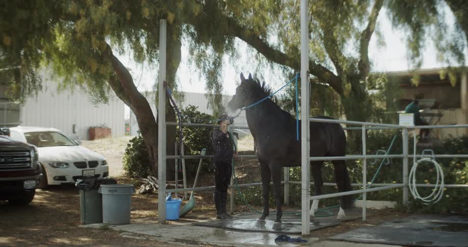 A woman hoses off a horse tied to an outside stall