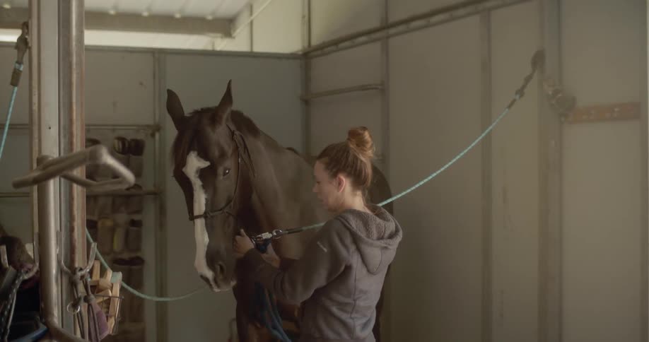 A woman tethers a horse in a stable