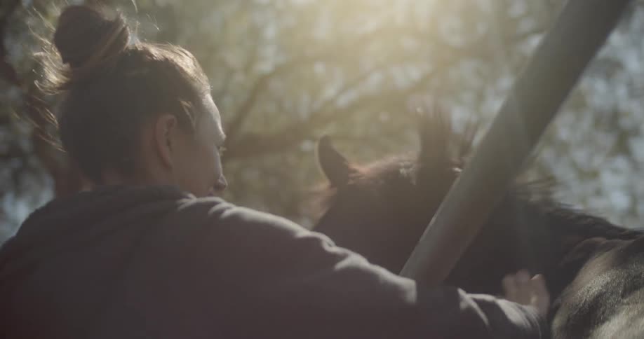 A woman is brushing a horse on a windy day
