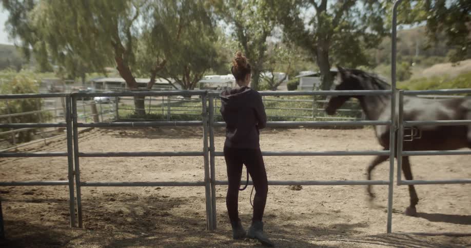 Woman watches a horse trot in a corral