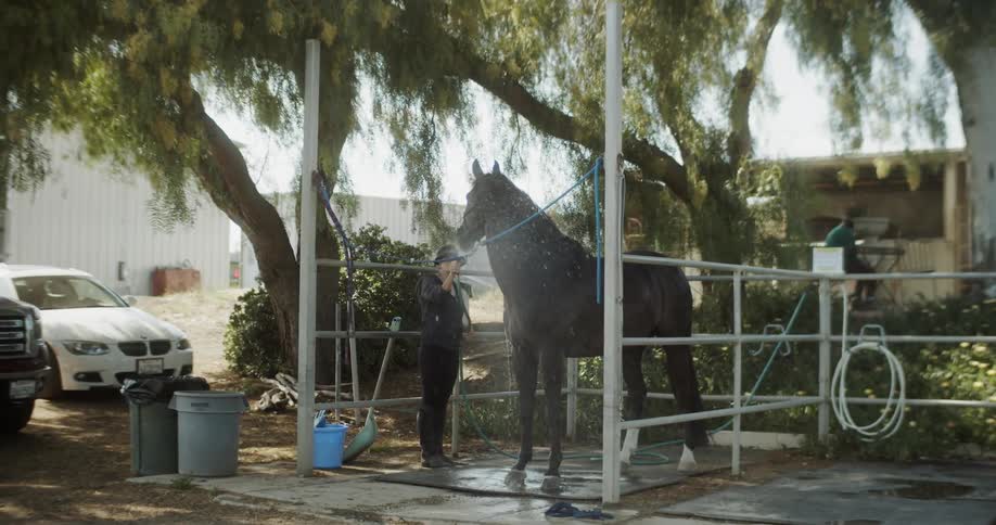 Woman sprays a horse with a hose