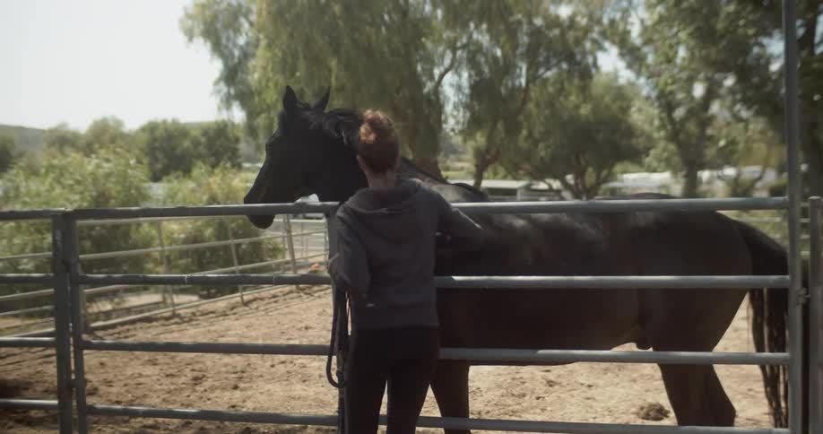 Woman pets a horse on a ranch