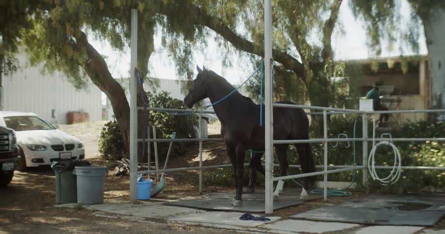 Horse stands in a small pen while a woman hoses it off
