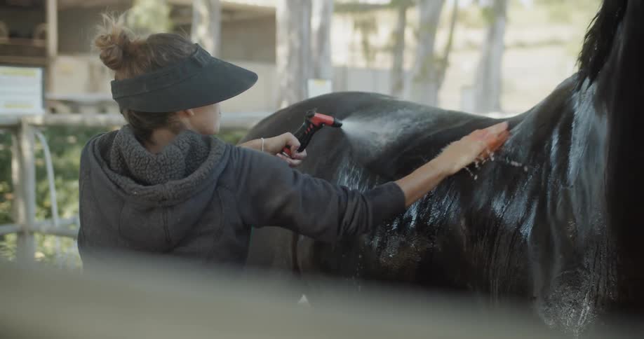 A woman is spraying her horse with a hose